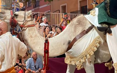 Episodio 19: Los animales en la fiesta de Moros y Cristianos